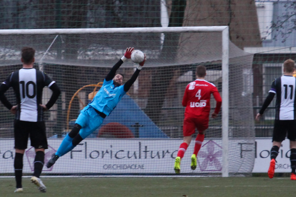 Tim Elmers Purmersetijn